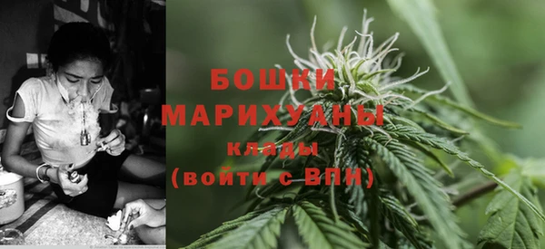 тгк Богданович